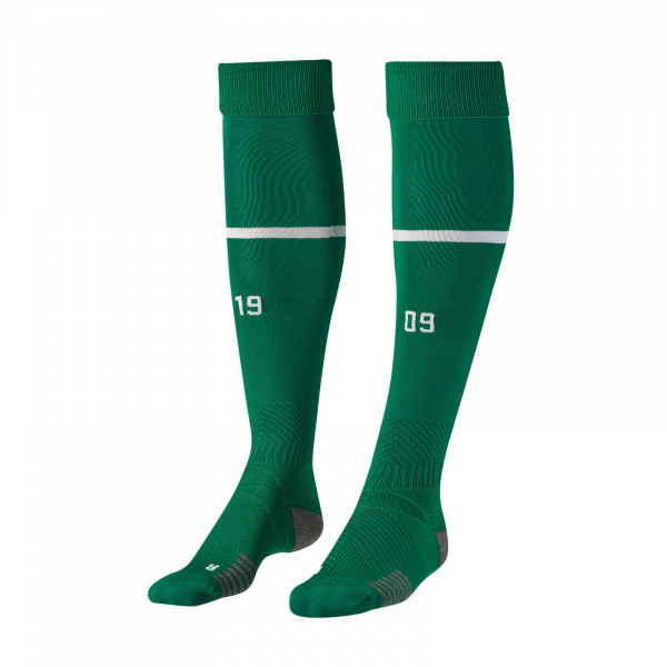 BVB Socks 22/23 (green)