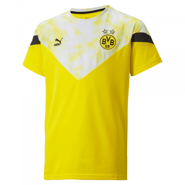 BVB-T-Shirt Iconic kids (yellow)