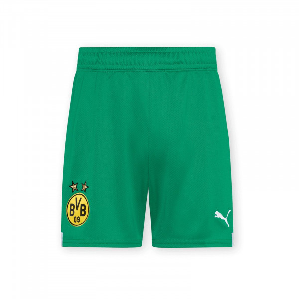 BVB Goalkeeper Jersey Shorts 22/23 Kids (green)