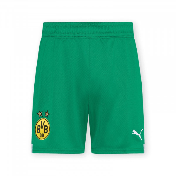 BVB Goalkeeper Jersey Trousers 22/23 (green)